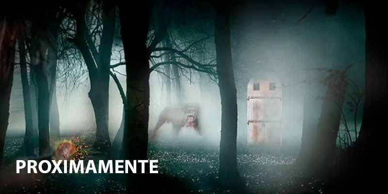 Juego educativo Harlot El misterioso bosque